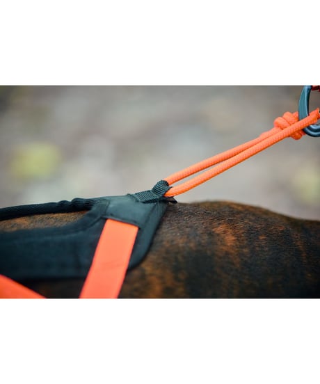 [Non-stop dogwear] Rush harness ブラック/オレンジ