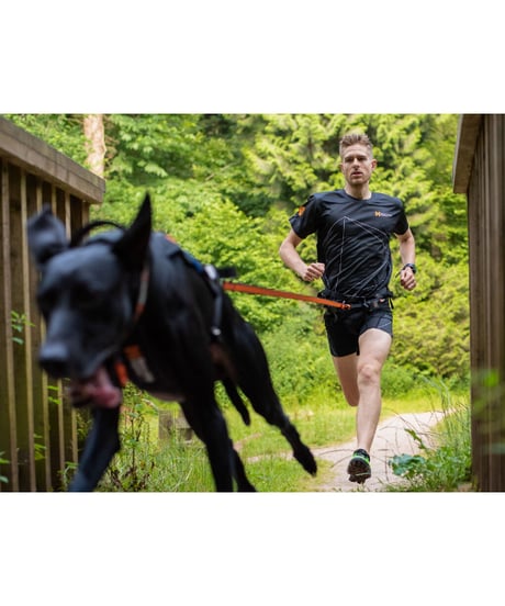 [Non-stop dogwear] Bungee leash オレンジ