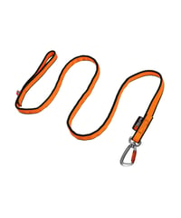 [Non-stop dogwear] Bungee leash オレンジ