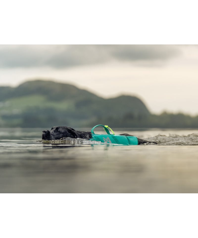 Non-stop dogwear] Protector life jacket ティール |