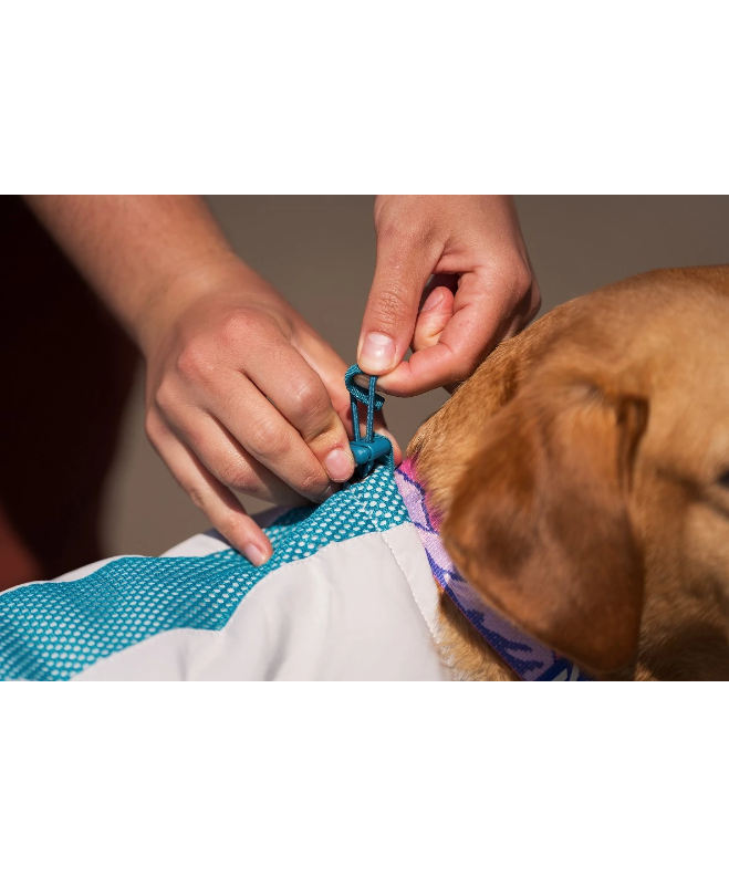 Non-stop dogwear] Cooling vest ライトグレー/ティール | W