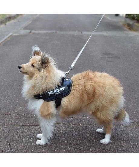 [JULIUS-K9] IDC Powerharness New Patterned プリティー