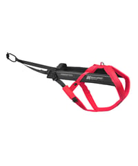 [Non-stop dogwear] Freemotion harness 5.0 ダークピンク/ダークグレー