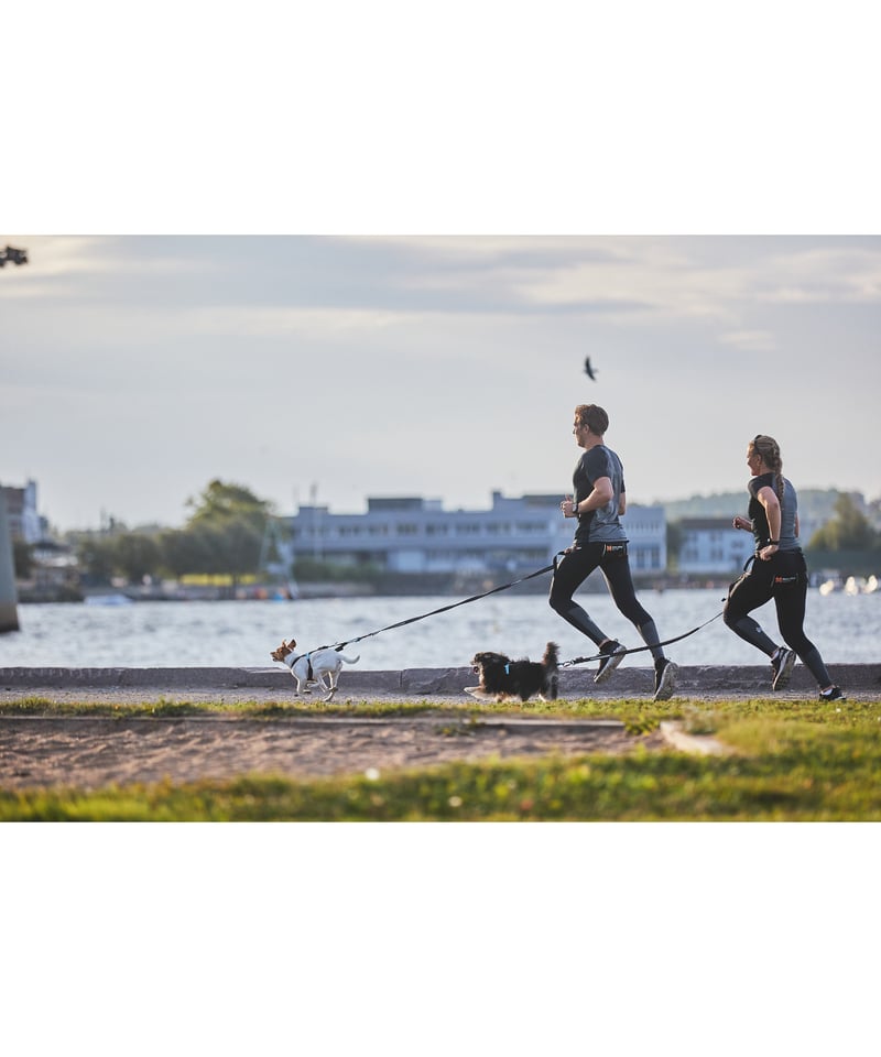 Non-stop dogwear] Touring bungee leash ティール |