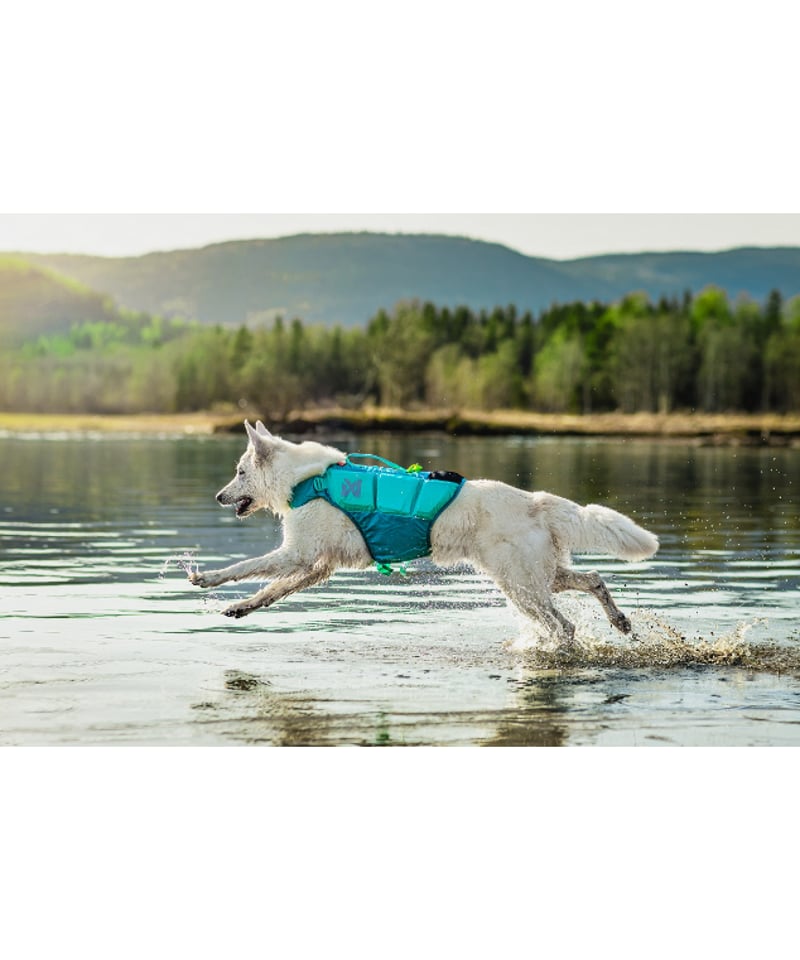 Non-stop dogwear] Protector life jacket ティール |