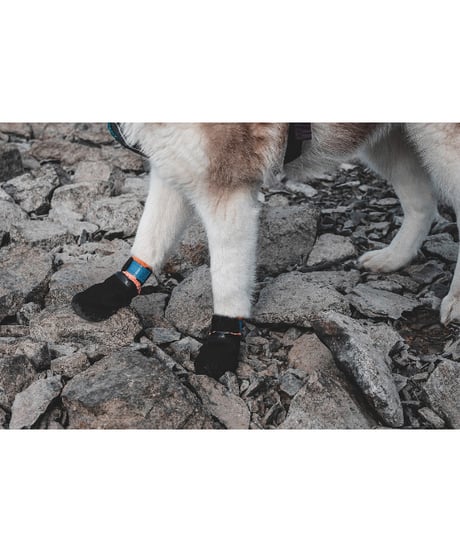 [Non-stop dogwear] Protector bootie  ブラック/オレンジ