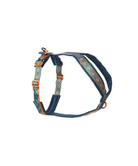 [Non-stop dogwear] Line harness 5.0 Rachel Pohl edition ティール/オーク