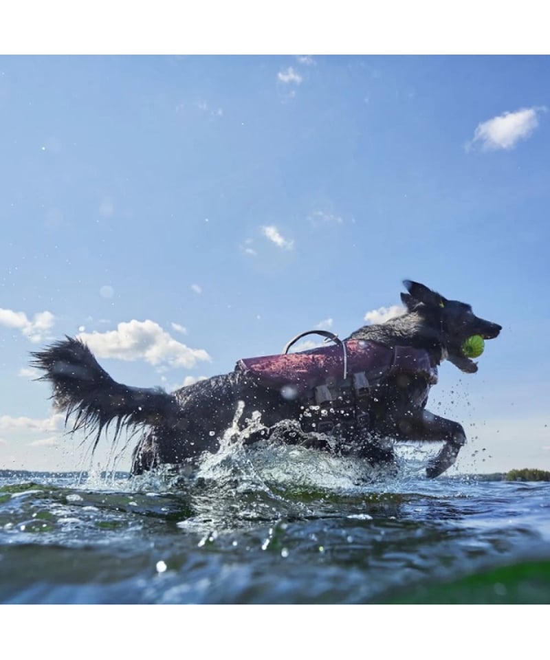 Hurtta] LIFE SAVIOR ECO LIFE JACKET オレンジ | Whi