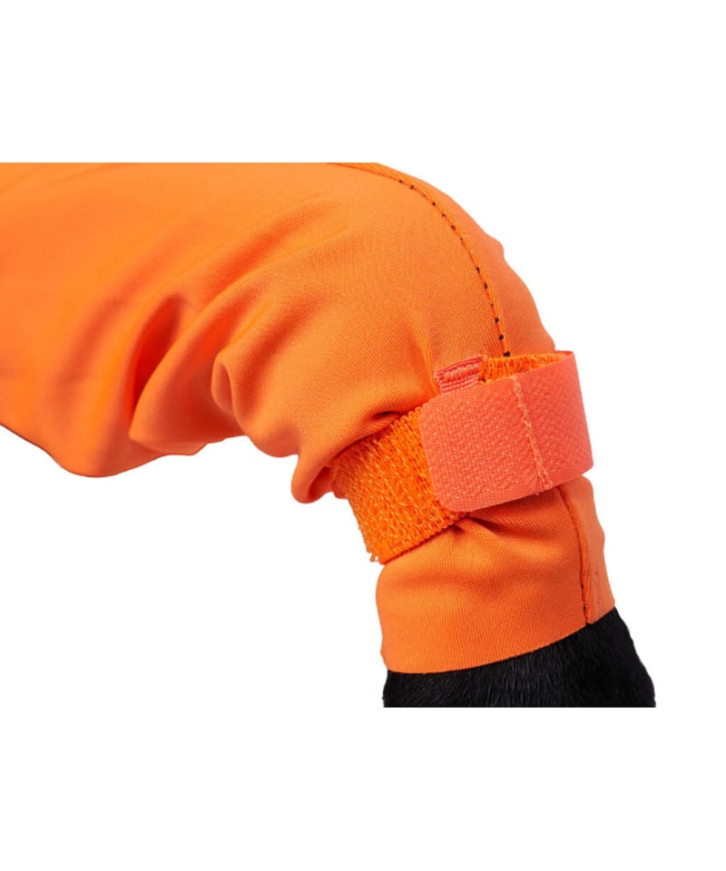 Non-stop dogwear] Protector suit M (オス用) | Whi