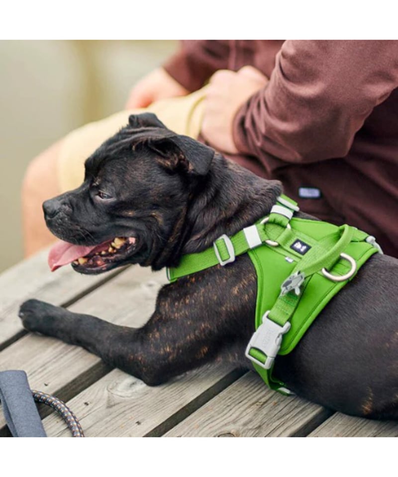 Hurtta] Weekend Warrior Harness Ⅱ ECO ダークパープル