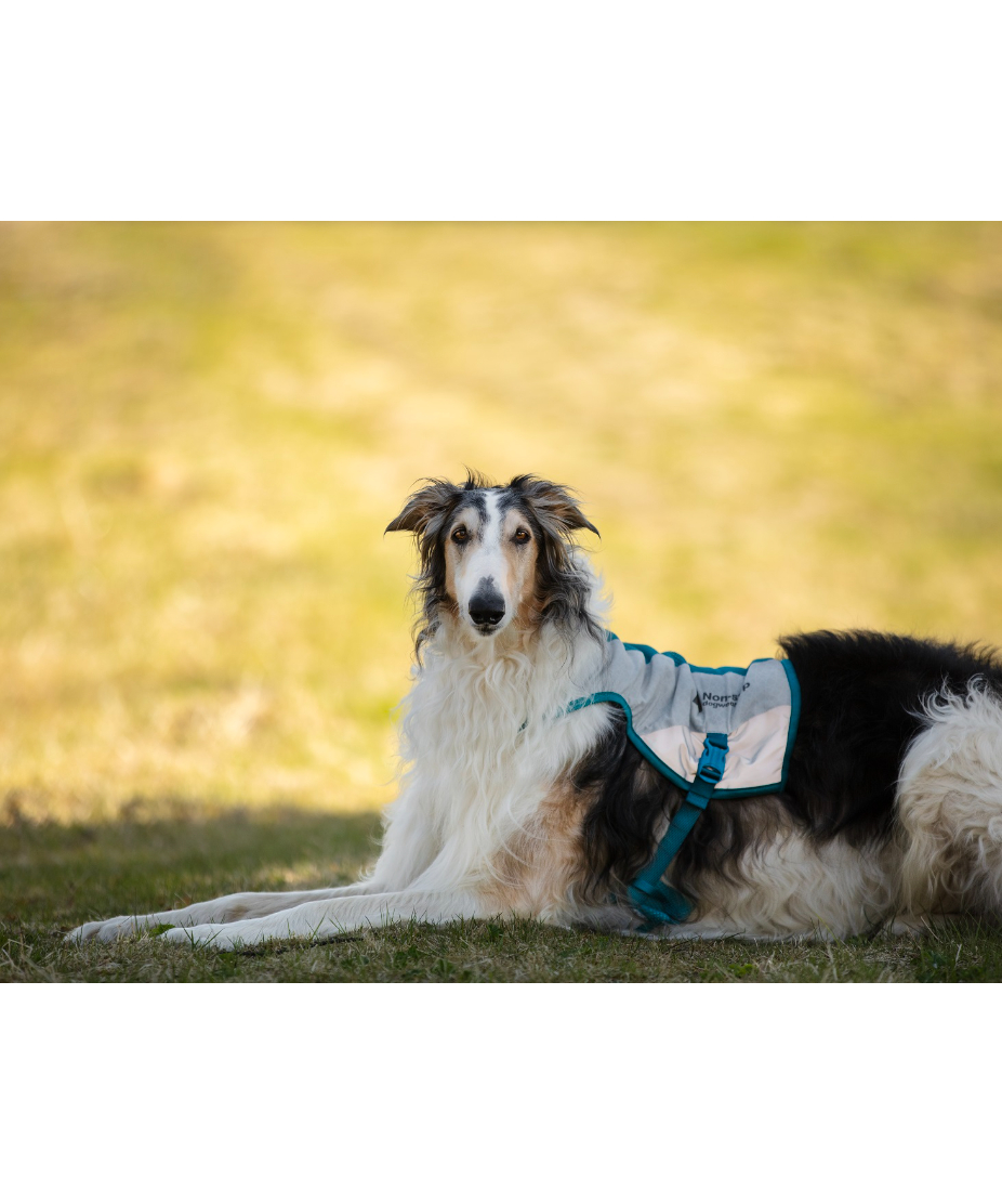 Non-stop dogwear] Cooling vest ライトグレー/ティール | W