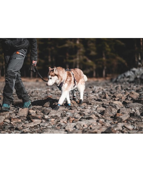 [Non-stop dogwear] Protector bootie  ブラック/オレンジ