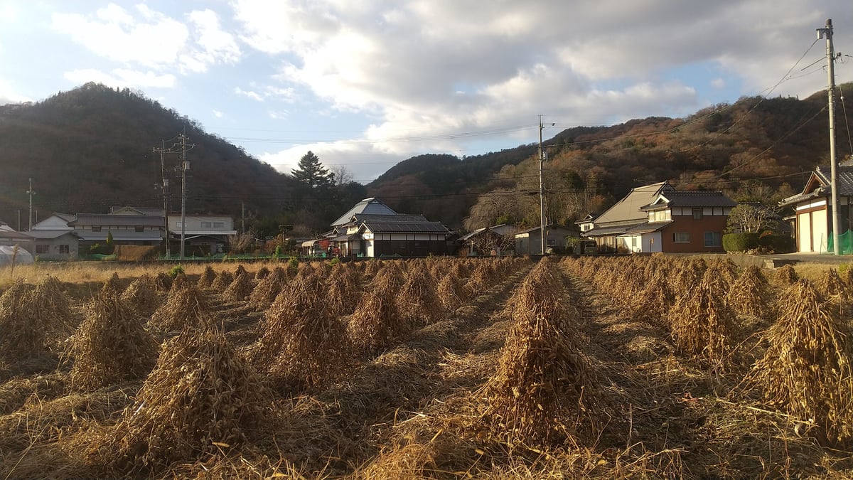 丸大豆納豆 90g×4（チルド便） ※1~4個まで。 | つちのわ