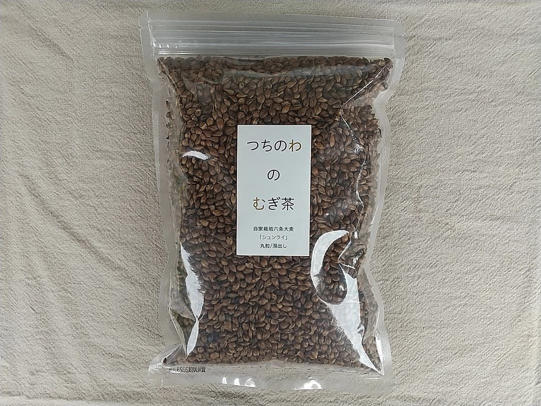 むぎちゃ出品 楽天市場】森商店 一休 麦茶(むぎちゃ)ティーパック 52袋 : アイム