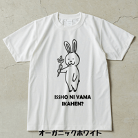 人参ウサギ　一緒に山いかへん？　DRY heavy weight