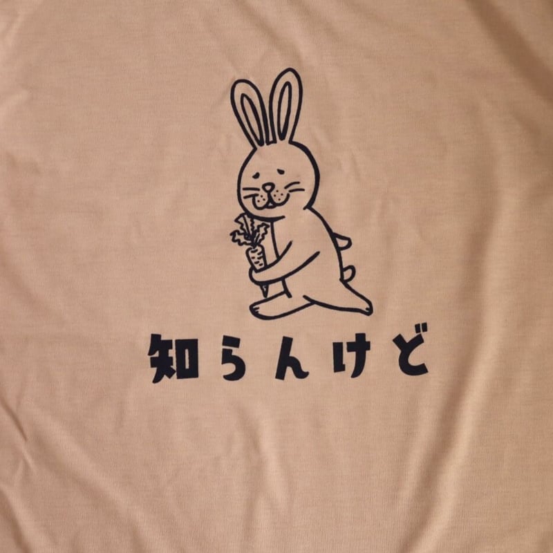 Algonquin ウサギイラスト Tシャツ ミイラうさぎプリントTシャツ進化版】 | algonquins