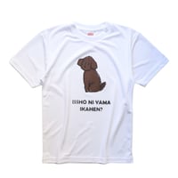 トイプードル　一緒に山行かへん？　山Tシャツ