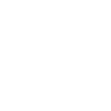 BLISS2021