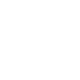 BLISS2021