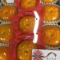 天から授かった大きな柿　太天柿　4キロ化粧箱入り　10～12玉入り　贈答用