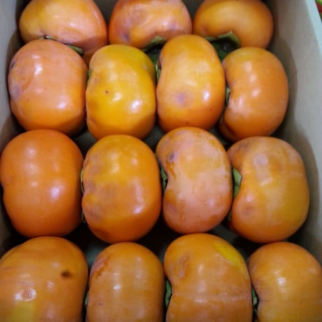 ○商品一覧 | みのりハウス