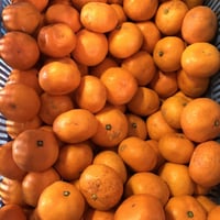 わかやまみかん　10キロ箱入り　家庭用　S～Lサイズ　　和歌山　みかん