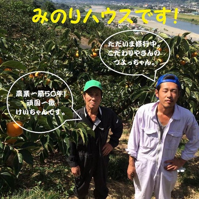 ご購入前にお読みください※ | みのりハウス