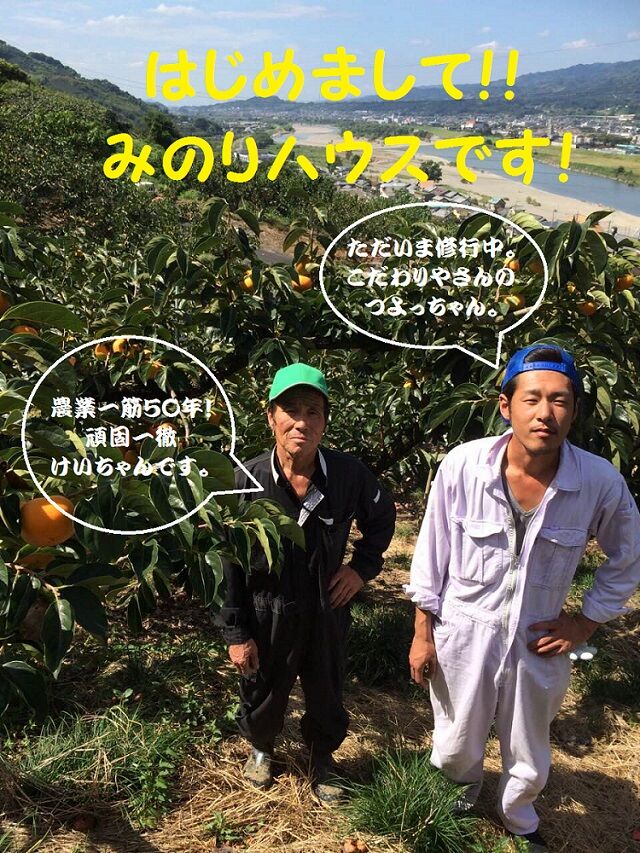 ご購入前にお読みください※ | みのりハウス