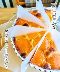 【9月4日or5日店頭受け取り品】アプリコット（杏）のタルト