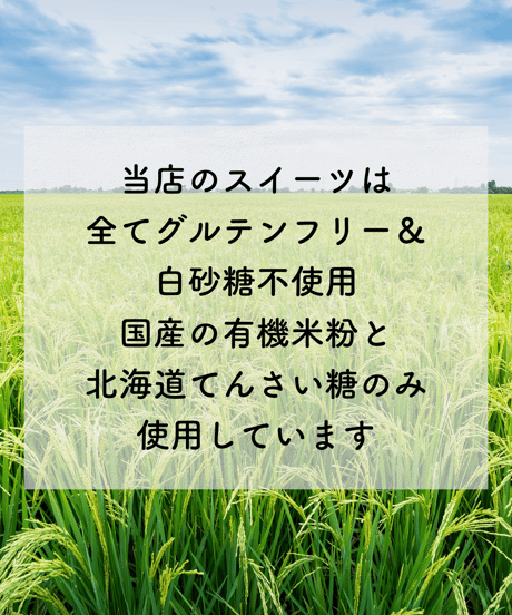 【4月25日店頭受け取り品】ブラウニー【個包装】
