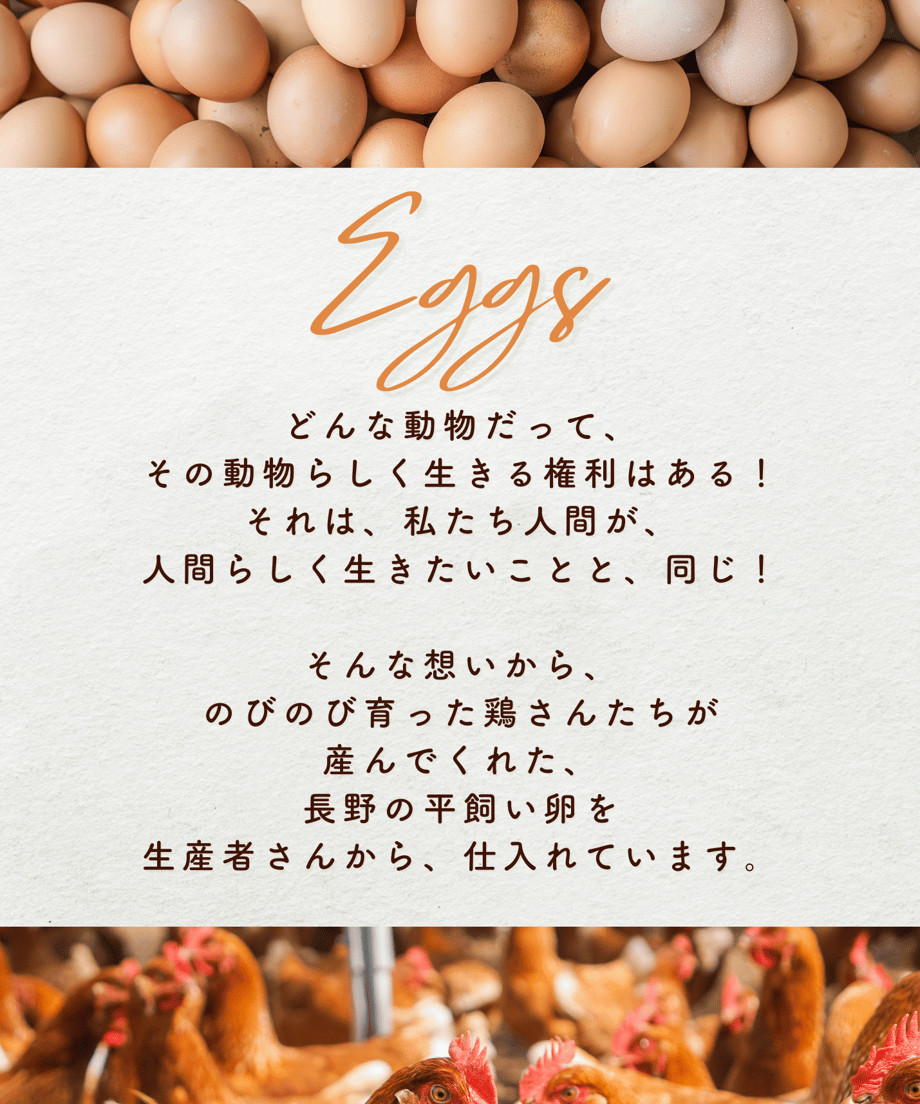 69291cfac2c7e224fc5fb656