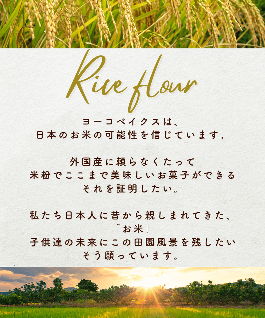 65a4733d925366002f684732