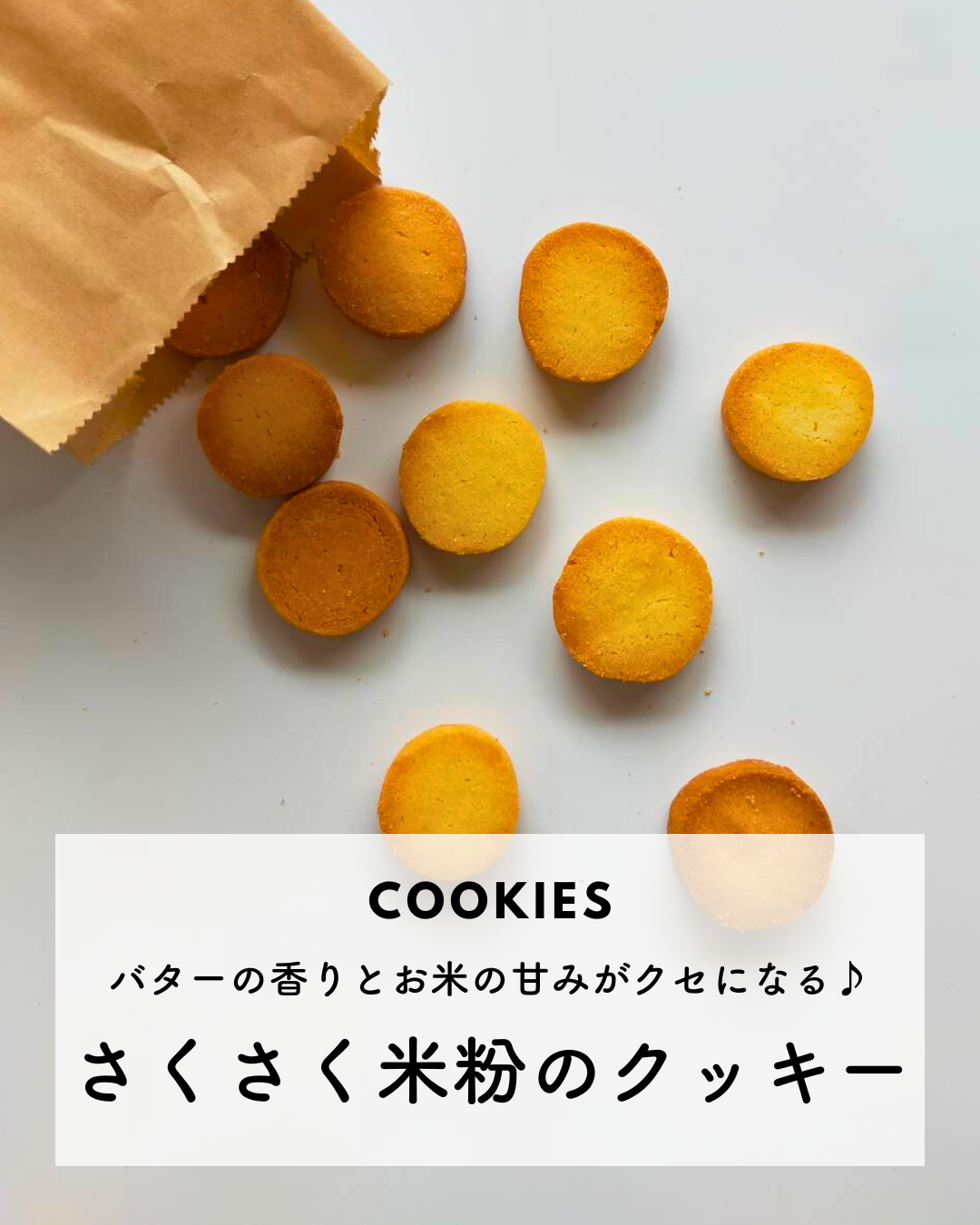 でこぽん様❤️❤️❤️専用です。21 ふたつきミルクバッグリメ缶 でこぽん様❤️❤️❤️専用です。21 ふたつきミルクバッグリメ