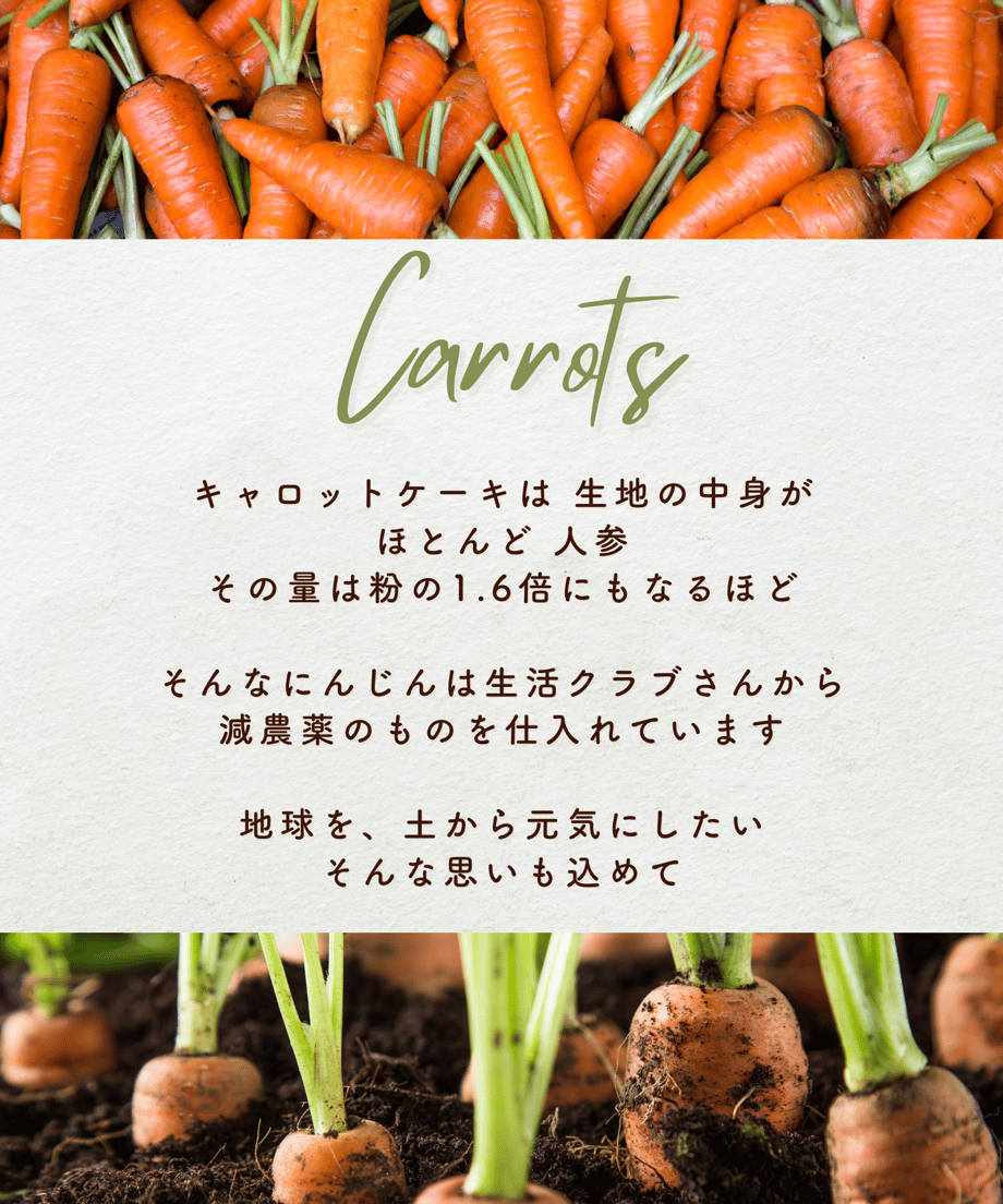 65ab57f2f325fc345838b208