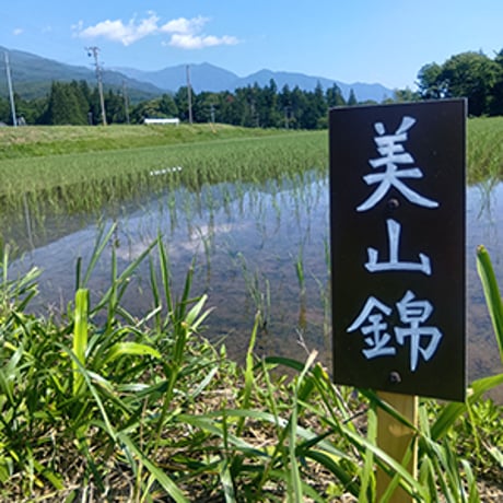 地球派 農薬低減栽培米 純米酒（超・低精白純米酒）720㎖（クレジット決済のみ）【お届け先は当社営業エリア内に限ります】
