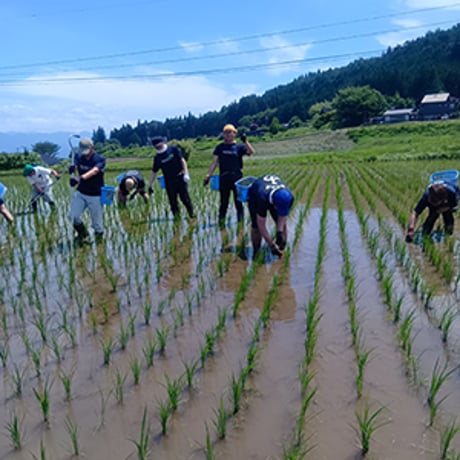ふれあいの宴 特別栽培米 純米酒（超・低精白純米酒）720㎖（クレジット決済のみ）【お届け先は当社営業エリア内に限ります】