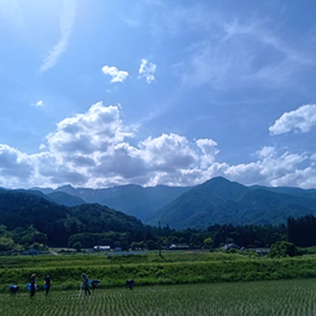 地球派 農薬低減栽培米 純米酒（超・低精白純米酒）720㎖（クレジット決済のみ）【お届け先は当社営業エリア内に限ります】