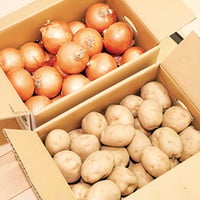 JAきたみらい じゃが玉セット（クレジット決済のみ）【お届け先は当社営業エリア内に限ります】