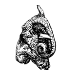 美学校 WEB STORE