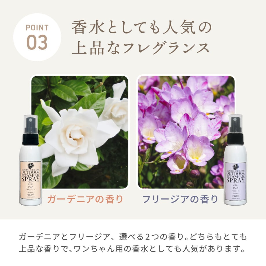 67ff2c3a6396ba2ec215cc43