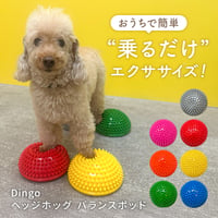 DINGO　ヘッジホッグ　バランスポッド
