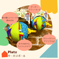 PLATZ　サーカスボール