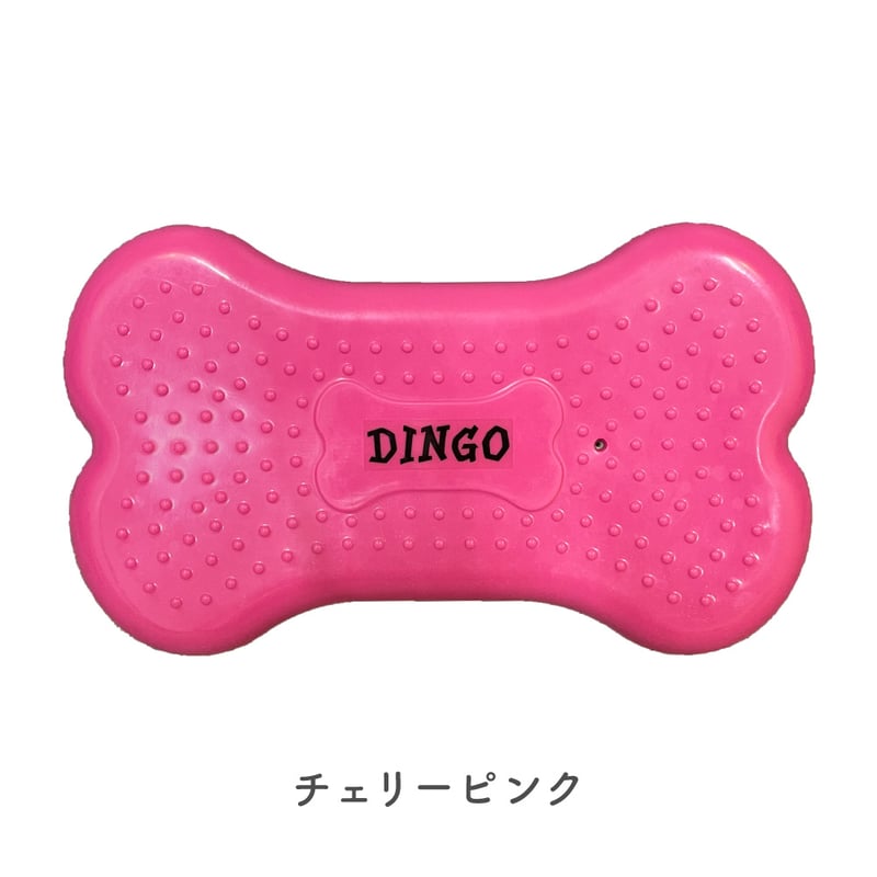 DINGO バランスディスク ボーン Sサイズ | EPIC-WAN