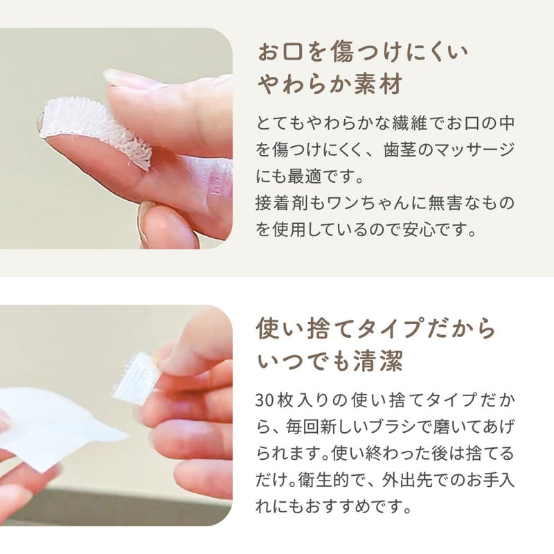 ぴたポイ | EPIC-WAN