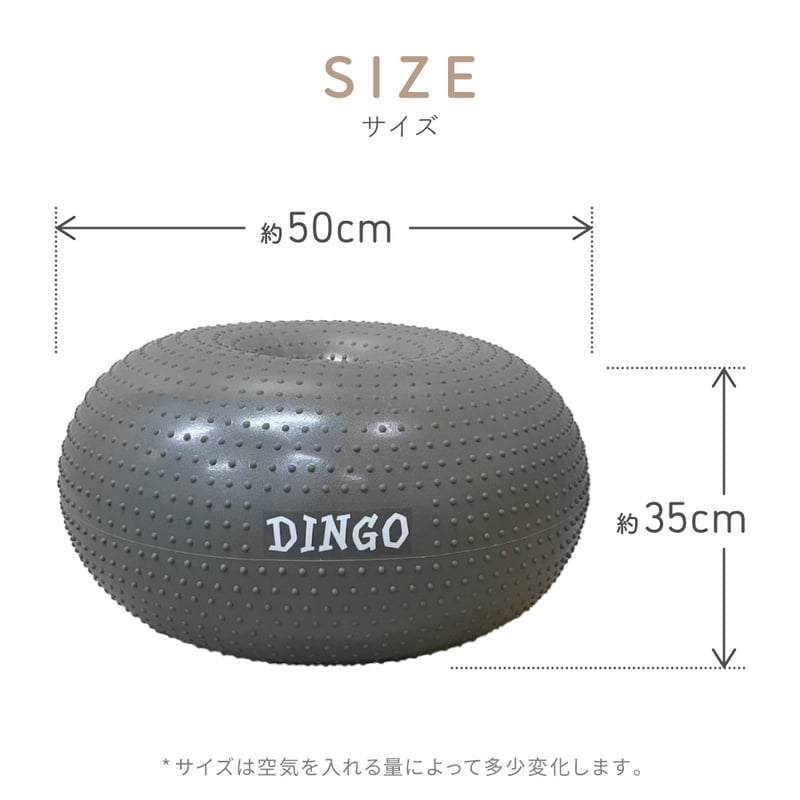 DINGO バランスディスク ドーナツ | EPIC-WAN