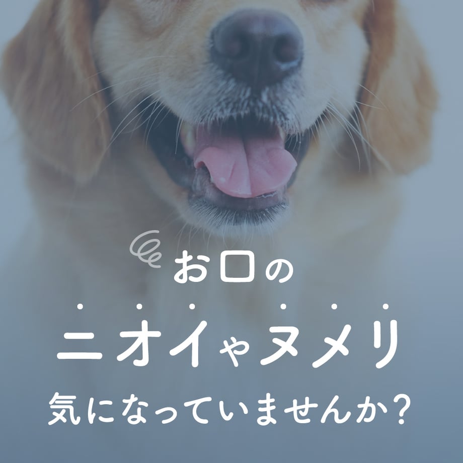 6980586f6d097b161c5f76f4