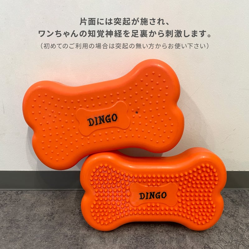 DINGO バランスディスク ボーン Sサイズ | EPIC-WAN
