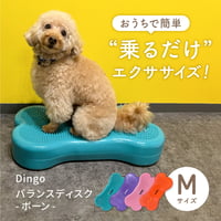 DINGO　バランスディスク　ボーン  Ｍサイズ