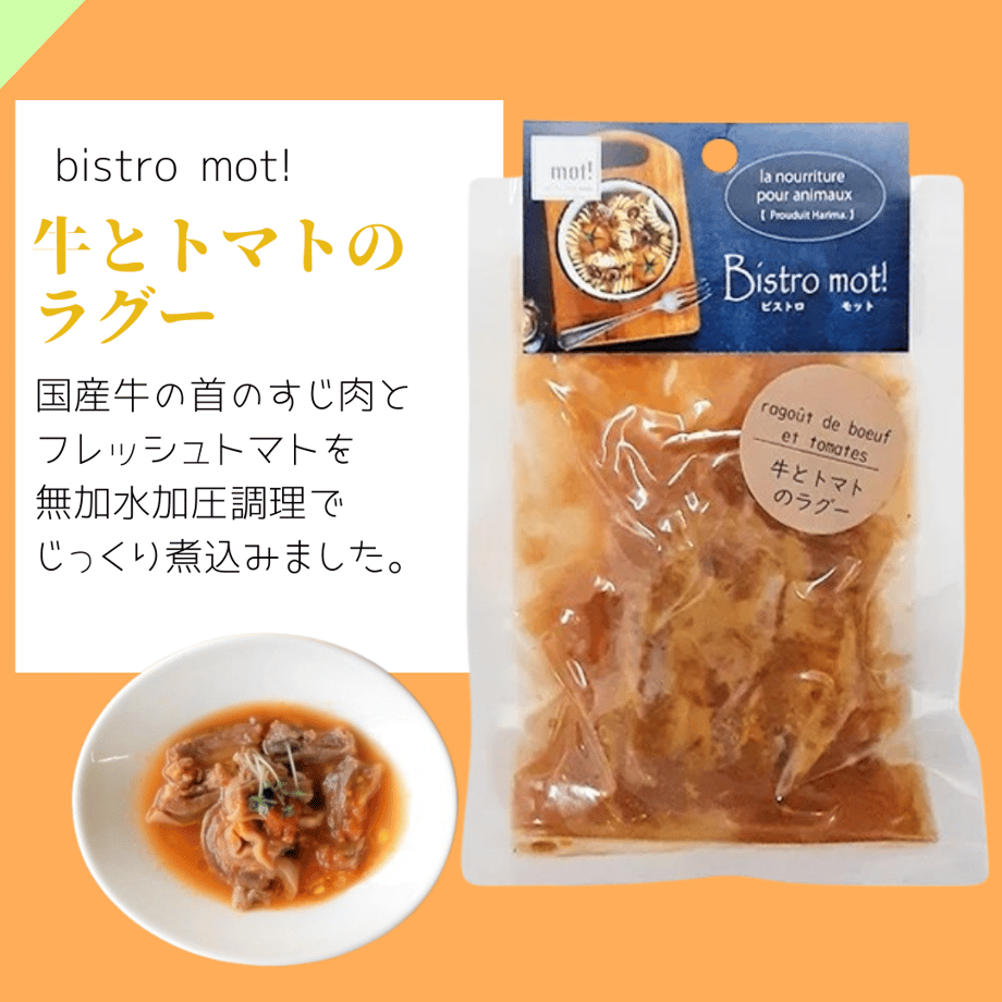 65f94cc4d3c2c90c0ca3dc16
