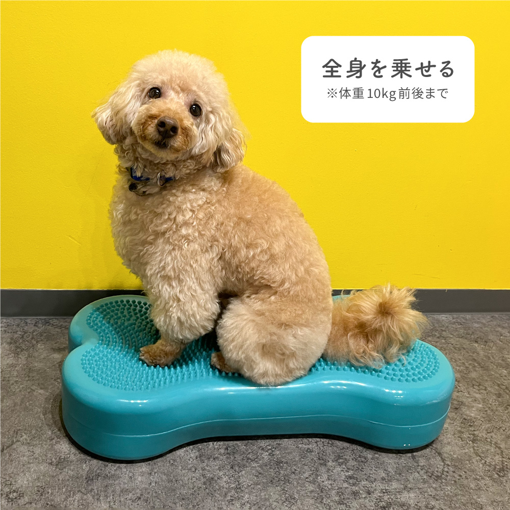 k9フィットボーン k9fitボーン 犬 体幹トレーニング バランスボール